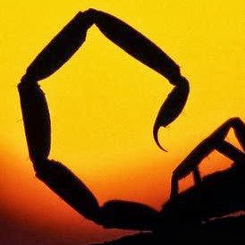 Sqorpio1980 Exposure & Awakened Truths link*